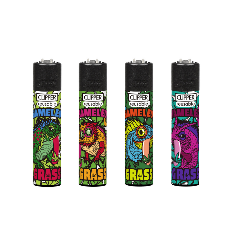 Classic Large Lighters Chameleon Grass - Tray of 48