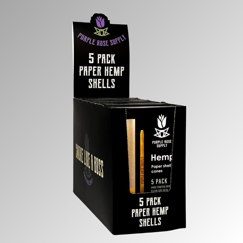 Large Shell Cones - Carton of 10