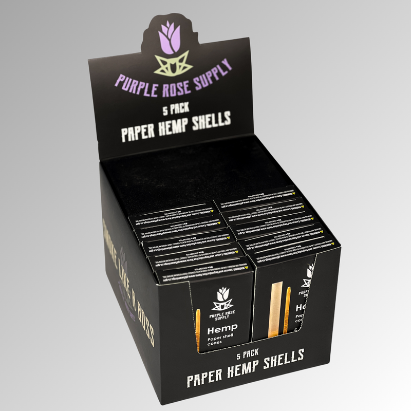 Small Shell Cones - Carton of 20